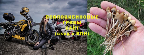 СК Алексеевка
