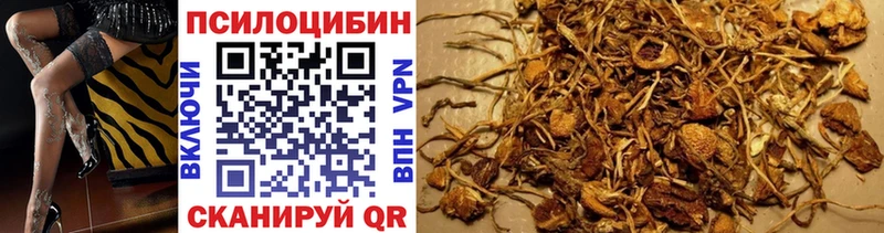 где купить наркоту Покров Галлюциногенные грибы Psilocybine cubensis